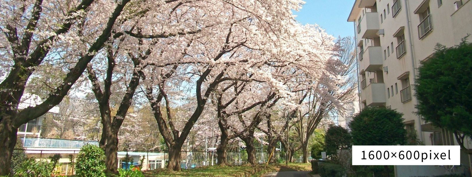 セカンドワーク自治会とは